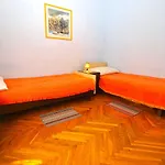 Apartment Branko 1142